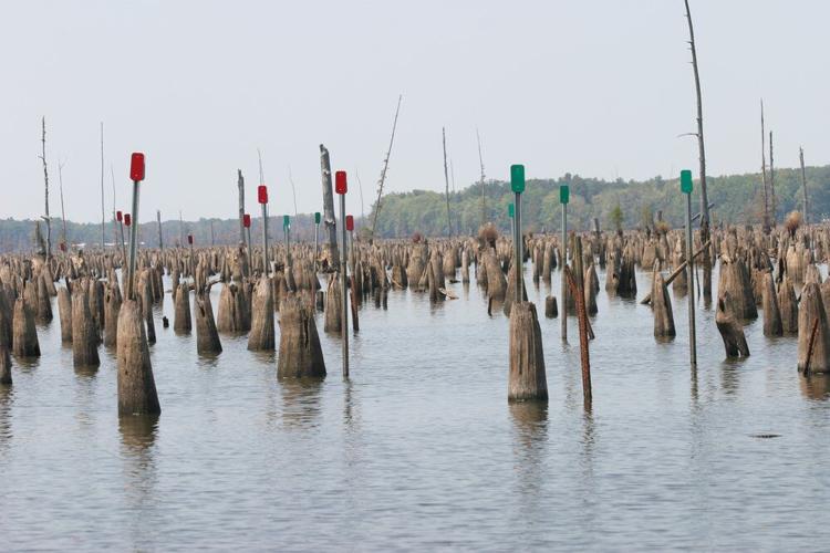 Lake Conway will close for 5 years, drained for lake rehabilitation