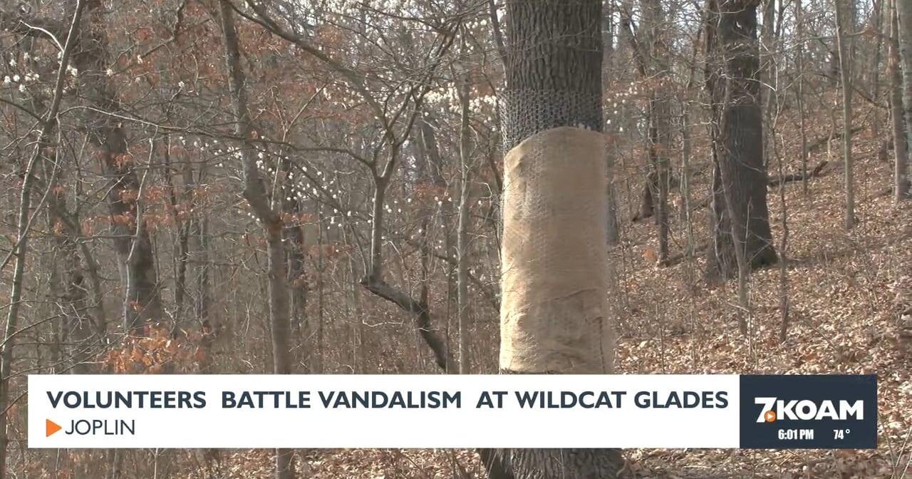 Volunteers find new strategies to fight vandalism at Wildcat Glades - Vimarsana News
