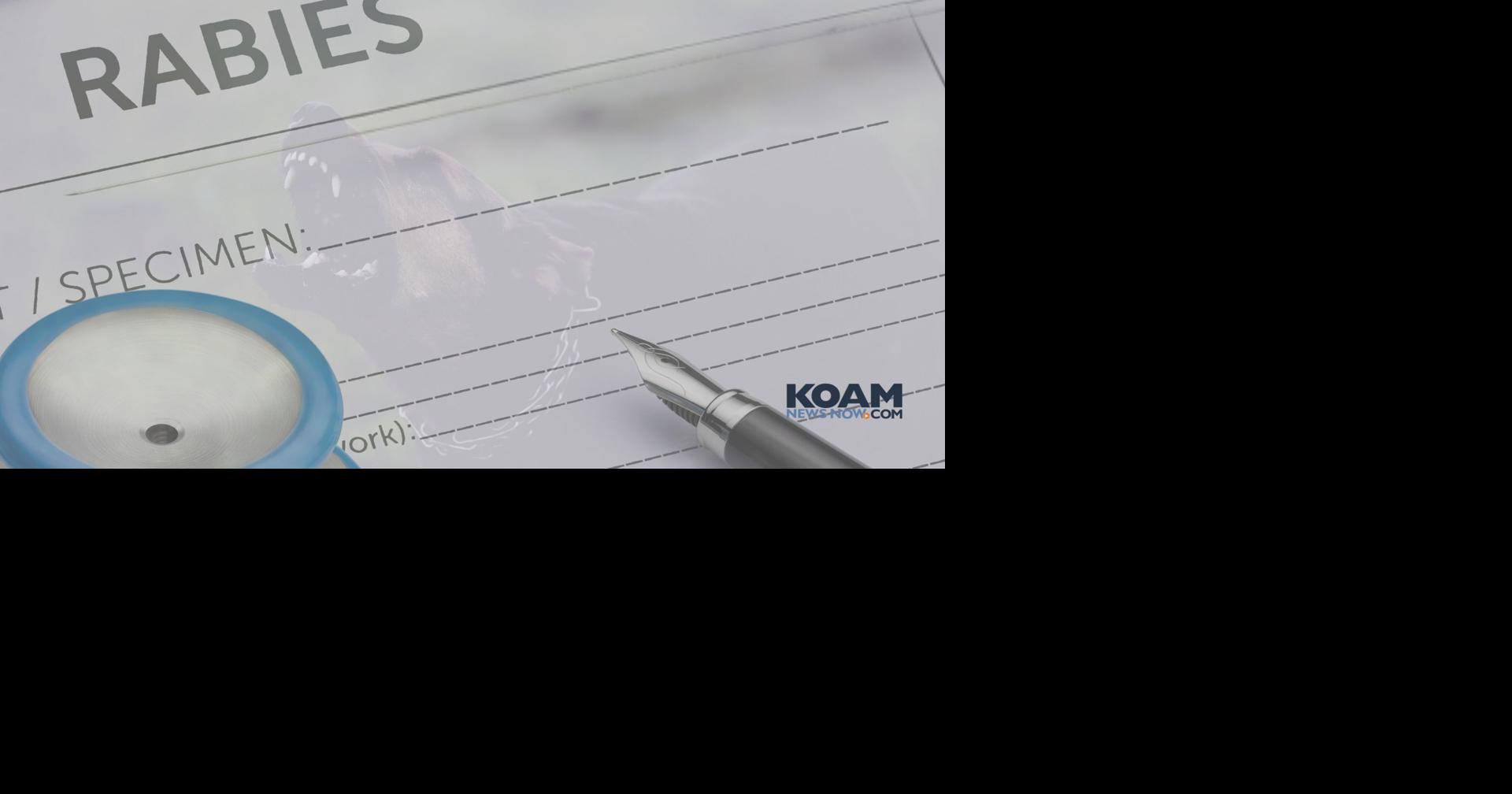 Dog tests positive for rabies in southwest Missouri