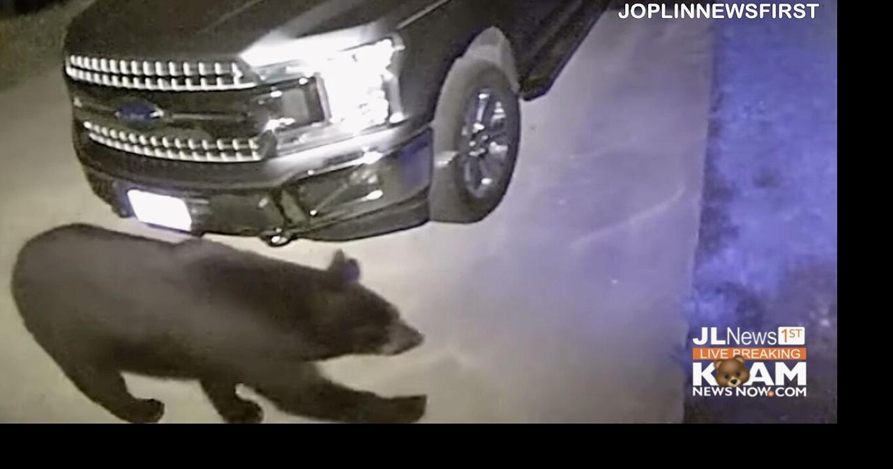 Be Bear Aware in Missouri; Bear caught on security camera south of
