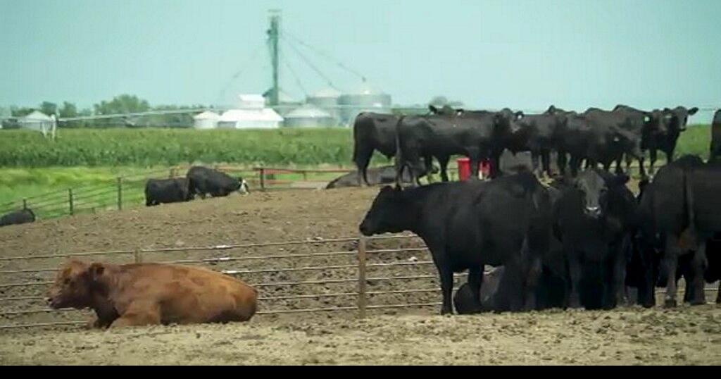 Chipotle puts farmers under contracts to prevent carne asada shortages