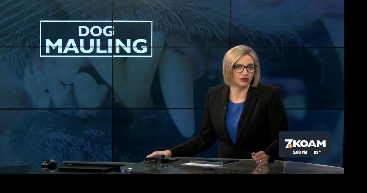 Three-year-old girl recovering after vicious dog attack | Local News ...