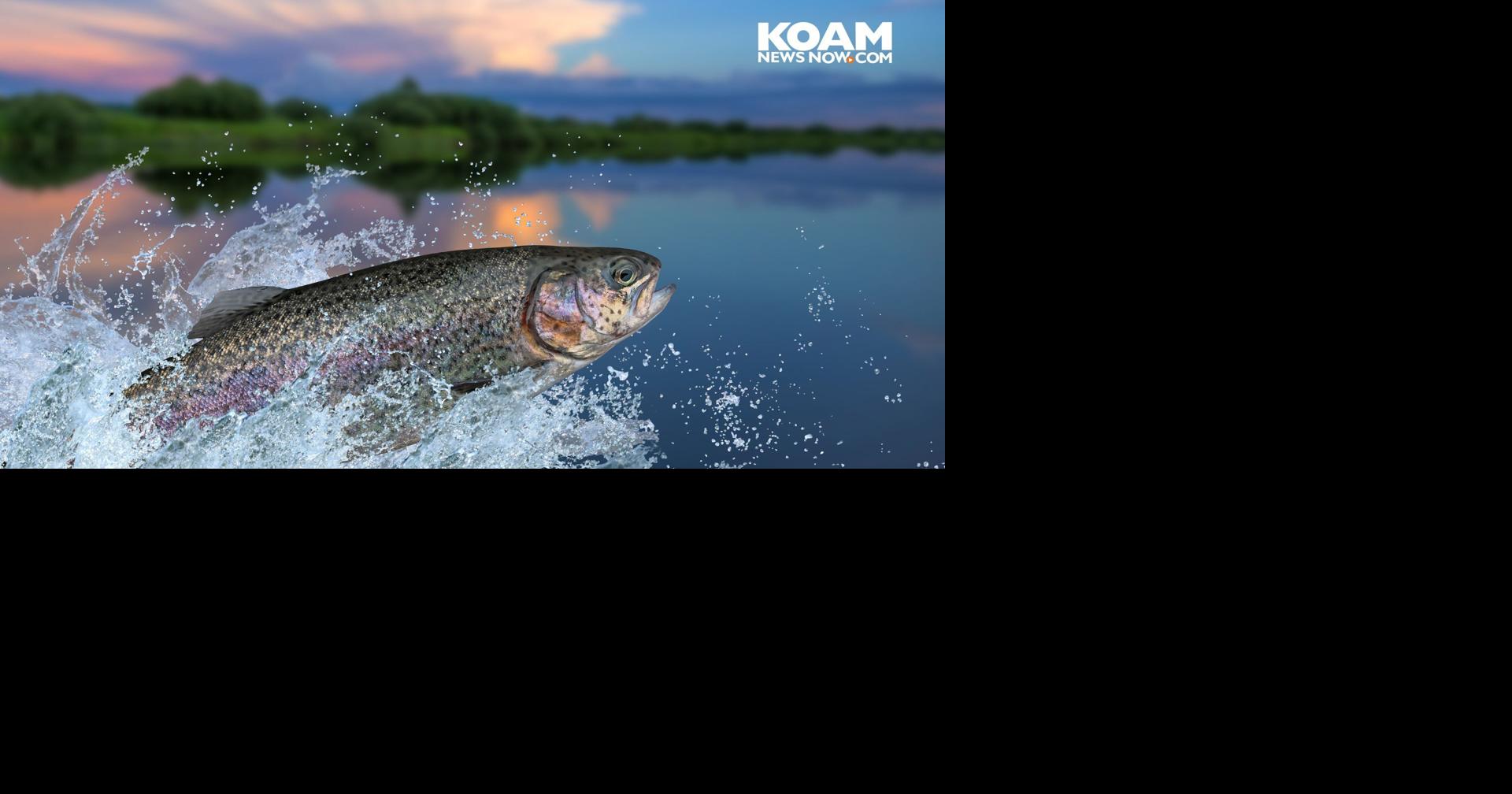 Kansas announces Free Fishing, State Park Entrance Days