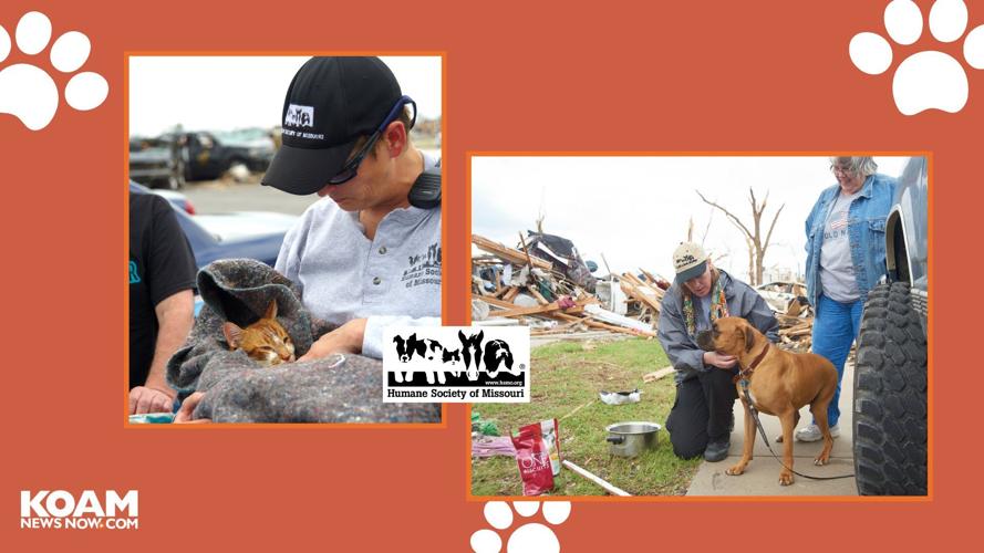Tips to keep your pets safe during extreme weather | Pets | koamnewsnow.com