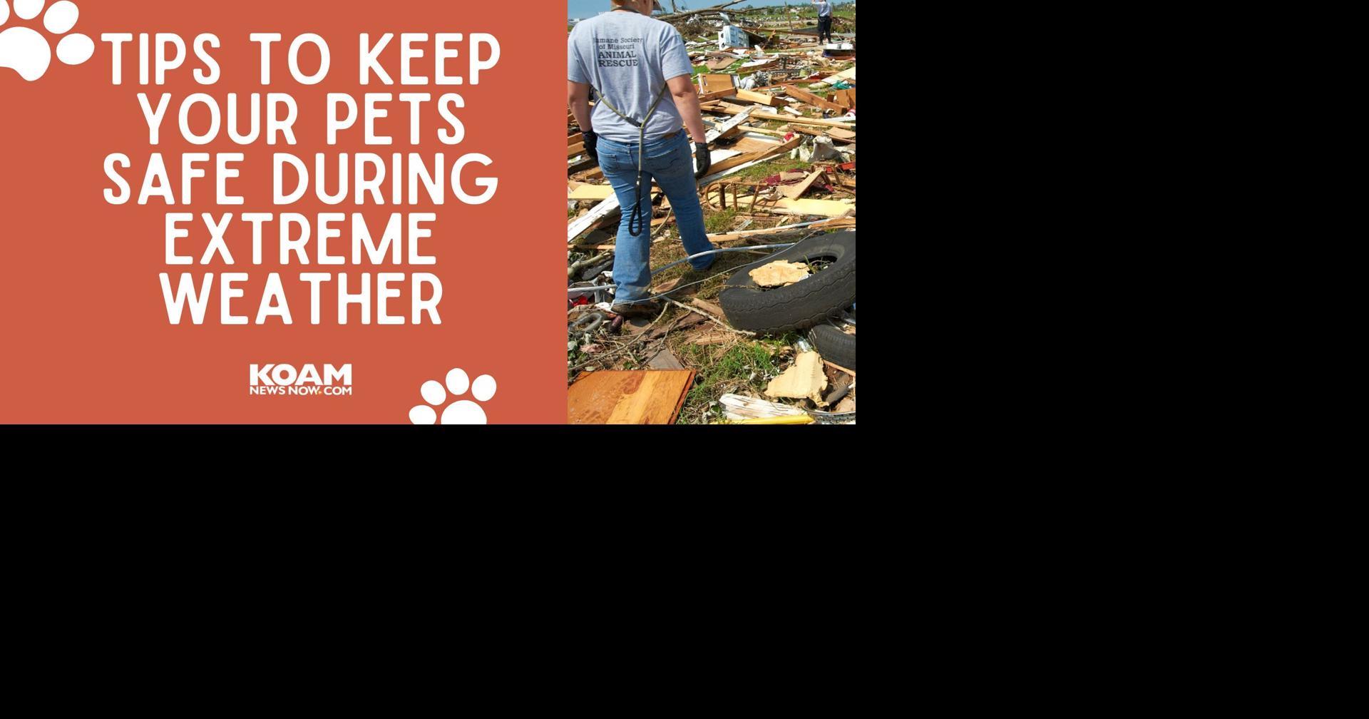 Tips to keep your pets safe during extreme weather | Pets | koamnewsnow.com