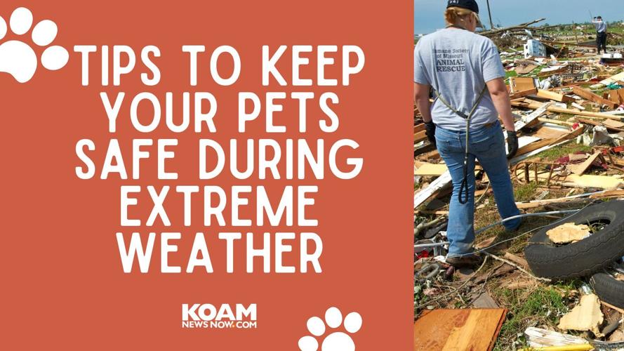 Tips to keep your pets safe during extreme weather | Pets | koamnewsnow.com