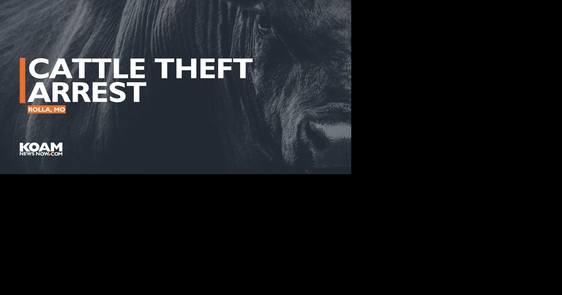 Rolla man charged in multi-county livestock theft case