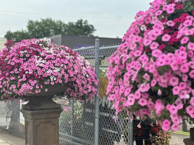 Greenhouse in Joplin embarks on project to beautify historic Route 66