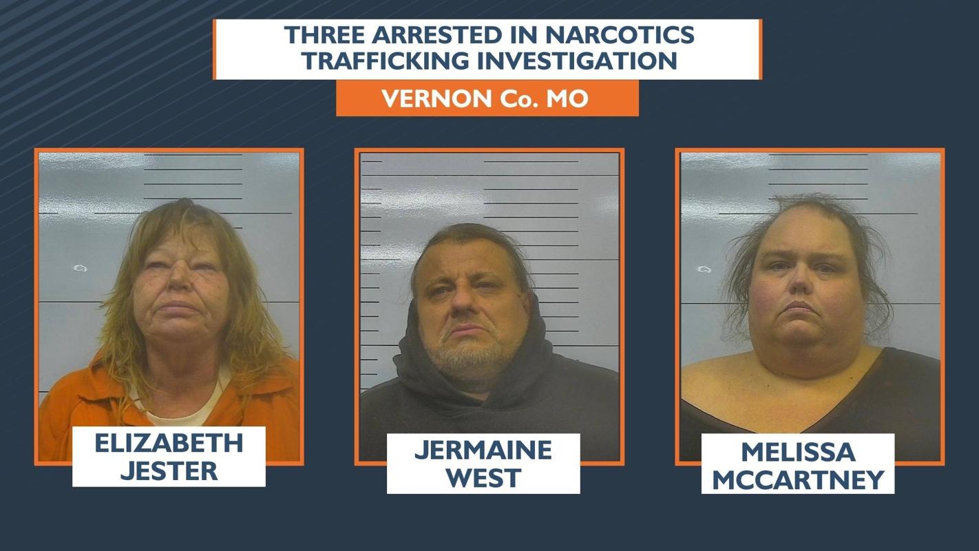 Drug bust leads to three arrests, seizure of 175 grams of narcotics ...