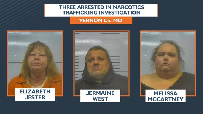 Drug bust leads to three arrests, seizure of 175 grams of narcotics ...
