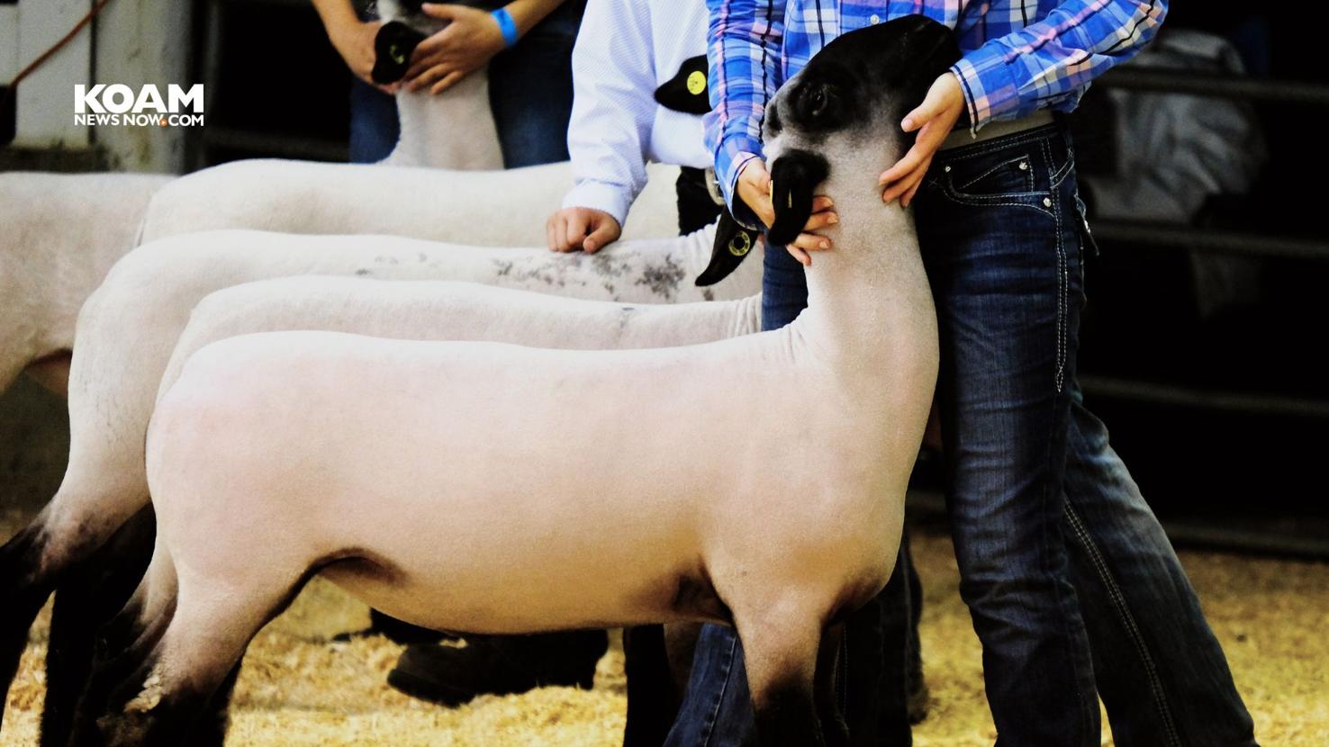 Schedule of fun events for all ages at Chief Sarcoxie Days Events