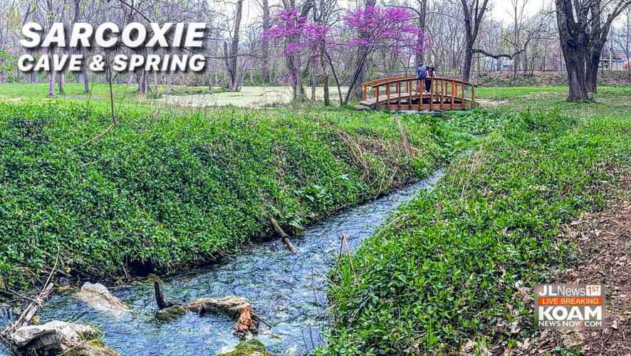 The Sarcoxie Cave and Spring... a place you should visit