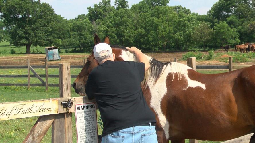 Horse therapy ranch looks to expand services for veterans Local News