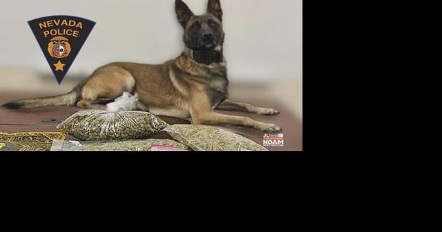 K9 Edo assists in narcotics and weapons seizure - Vimarsana News