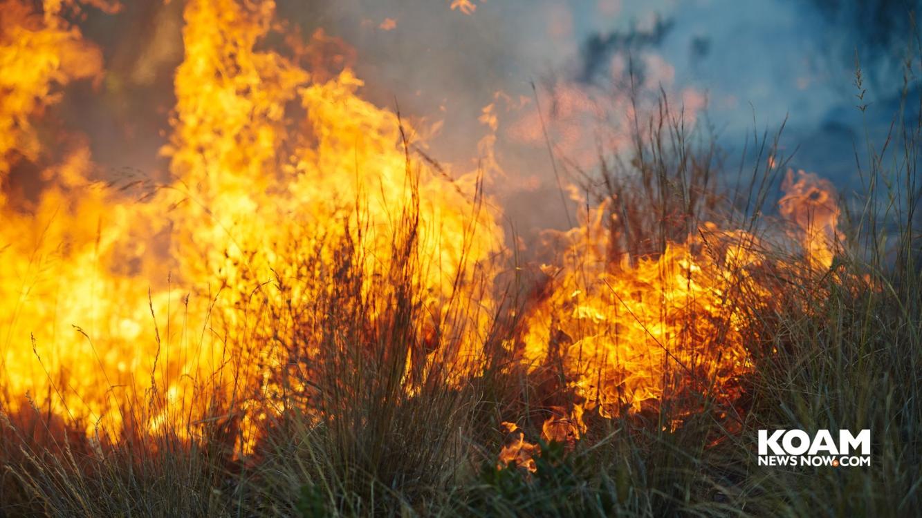 Governor Kelly declares state of disaster emergency for wildland fires ...