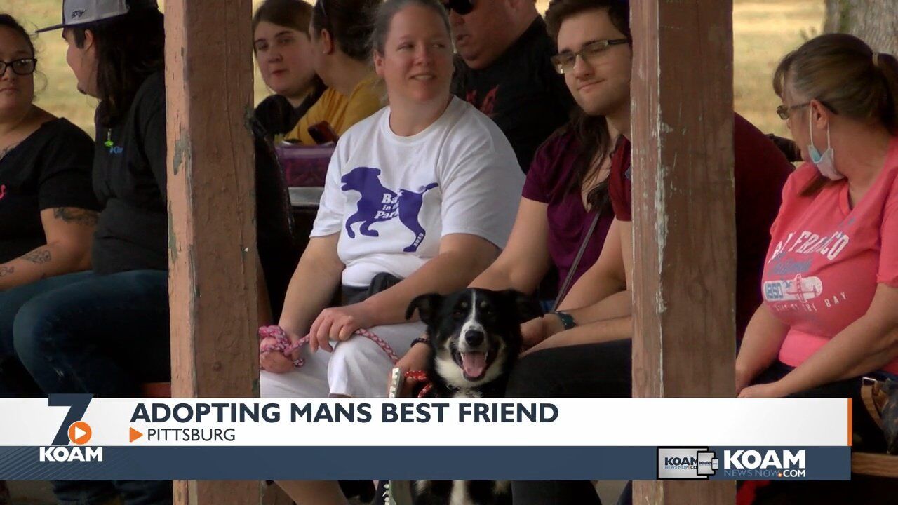 Bark in the Park - Michigan Humane