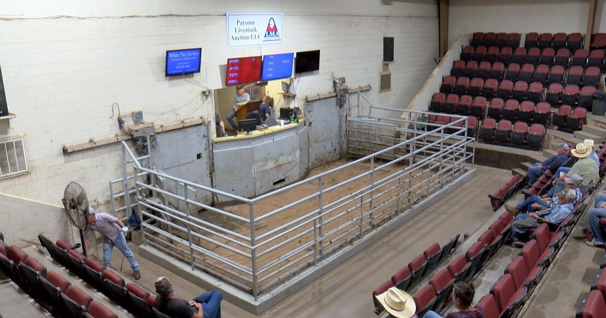Kansas Auctioneer Places Top Ten in World Livestock Auctioneer