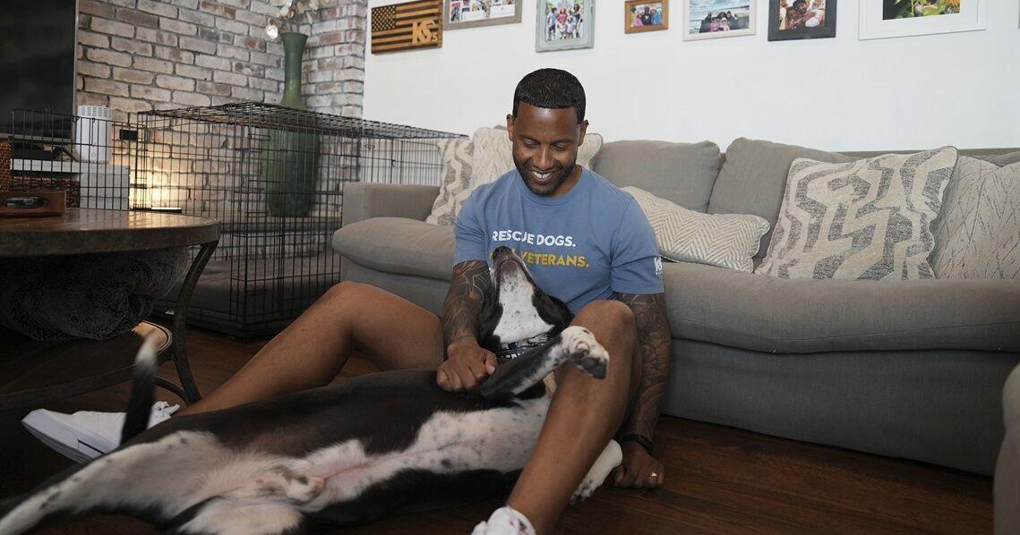 Service dogs helping US military veterans ease PTSD symptoms | Shareable Stories - Vimarsana News