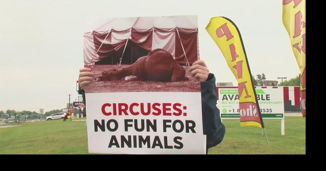 Animal rights advocates protest Tarzan Zerbini Circus | Local News
