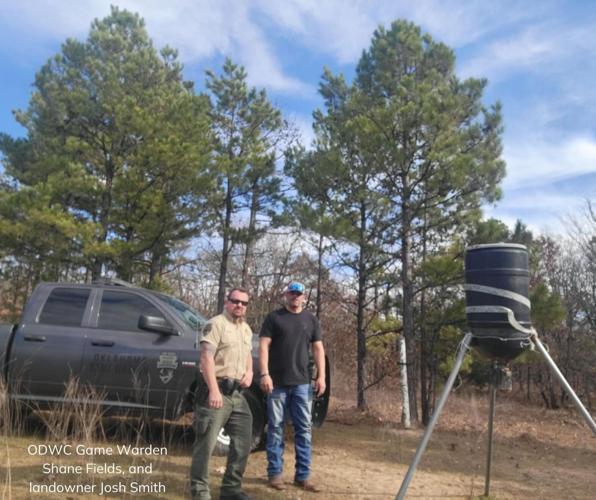 Mountain Lions spotted in Oklahoma on trail cams News