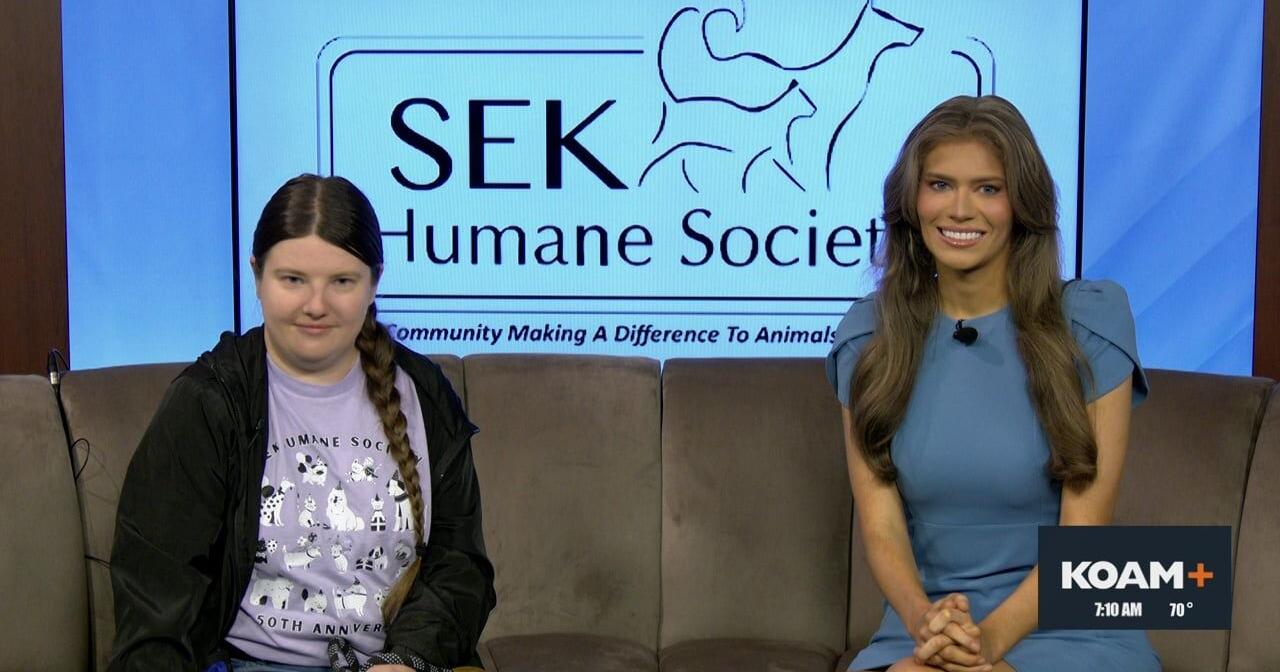 Your invited to the Cat Cafe this Sunday at the SEK Humane Society - Vimarsana News