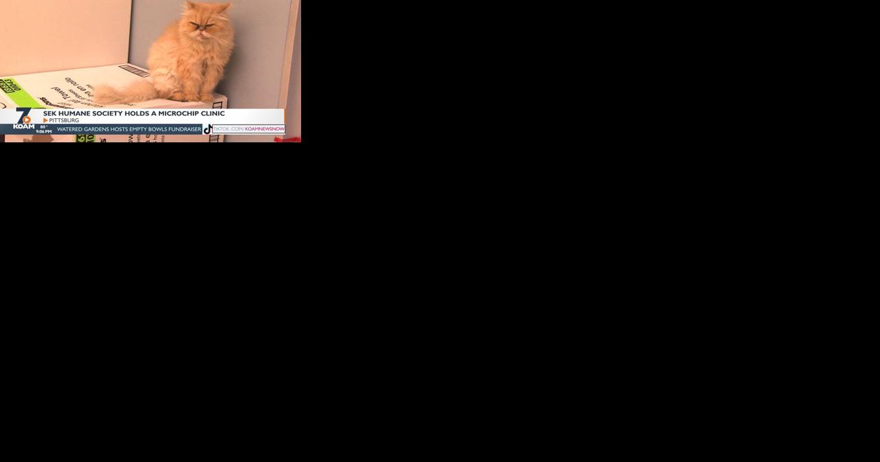 Southeast Kansas Humane Society hosts microchip clinic - Vimarsana News
