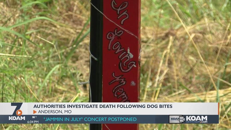 Anderson Police investigate death after dog attack | Local News ...