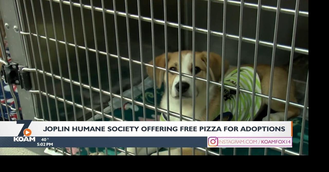 Joplin Humane Society hosts adoption special to celebrate Pi Day Pets