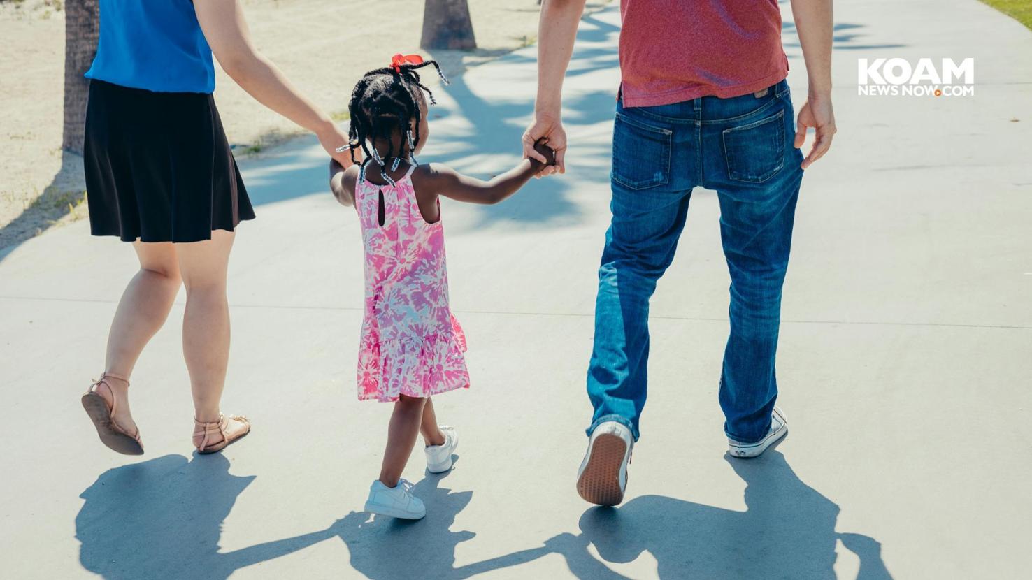 Kansas DCF announces new Family First Prevention grants | Kansas News ...