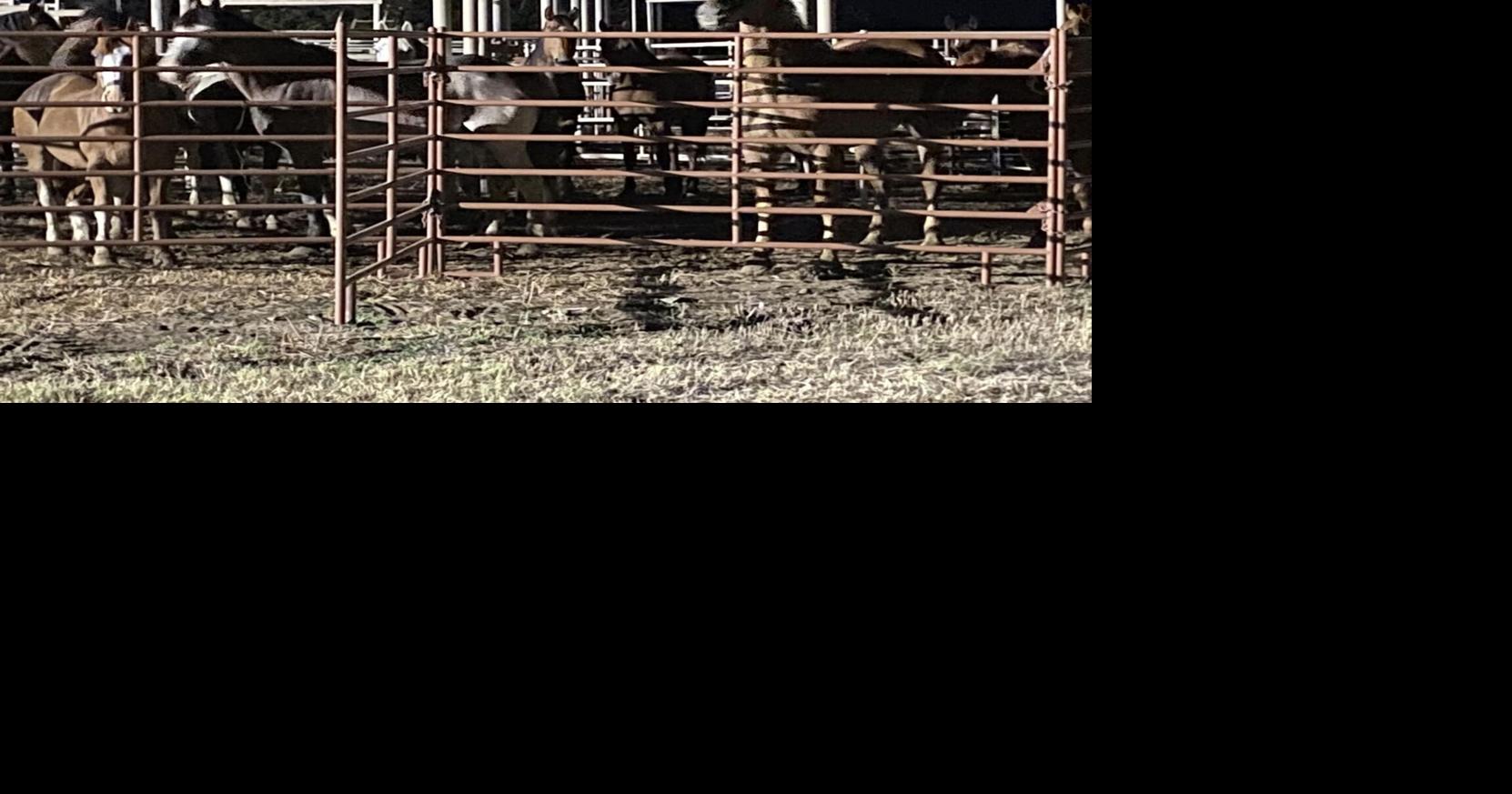 Labette County Fair continues today with rodeo and livestock shows