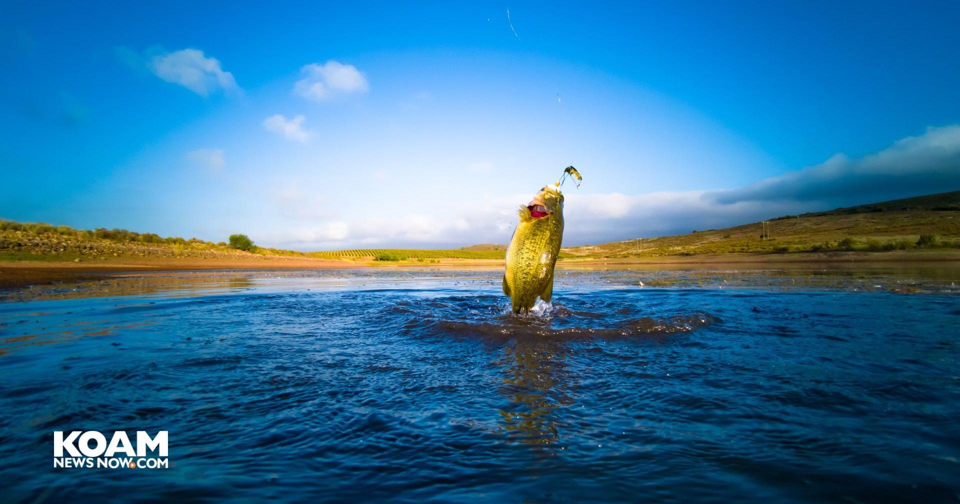 MO hunters, anglers ready for squirrel and black bass season - Vimarsana News