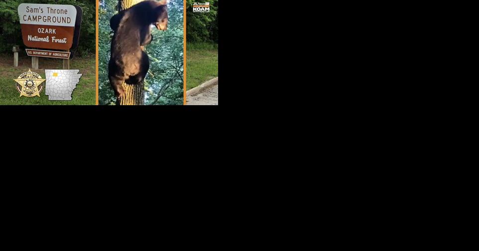Missouri man's death at Arkansas campground most likely bear attack |  Joplin News First | koamnewsnow.com