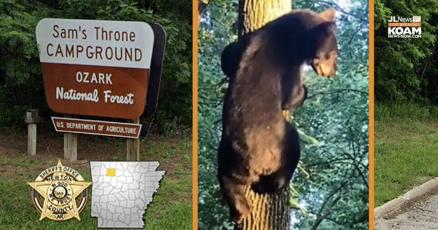 Missouri man's death at Arkansas campground most likely bear attack | Joplin News First | koamnewsnow.com