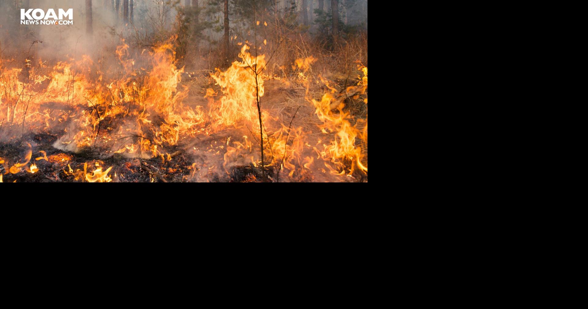 Governor Kelly issues disaster emergency due to wildfires | Kansas News ...