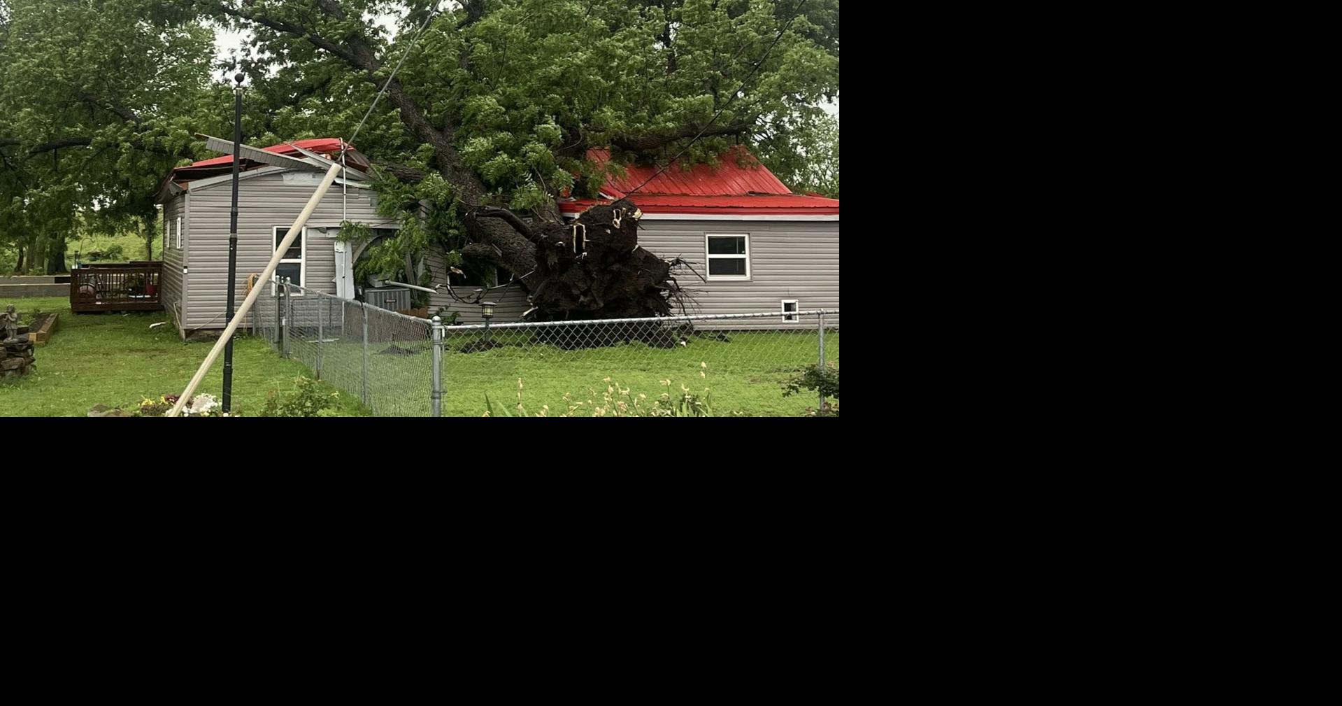 Fallen trees damage homes, power lines down in 4-States | Weather ...