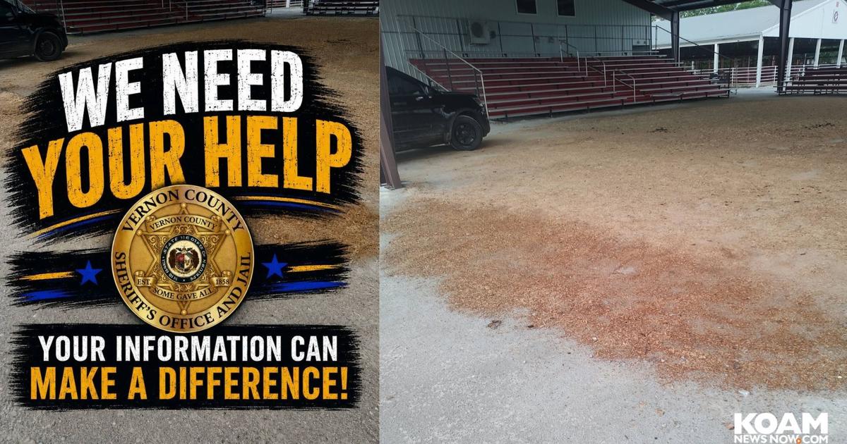 Vernon County assault leaves victim in serious condition, authorities seek public's help