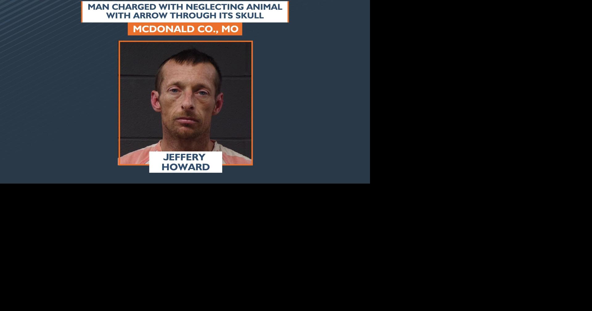 Man charged shooting arrow through head of dog, pleads guilty to a ...