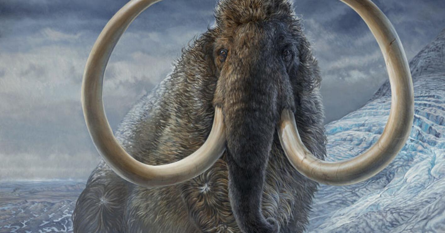 Adopted mammoth fell 15,000 years ago - Vimarsana News