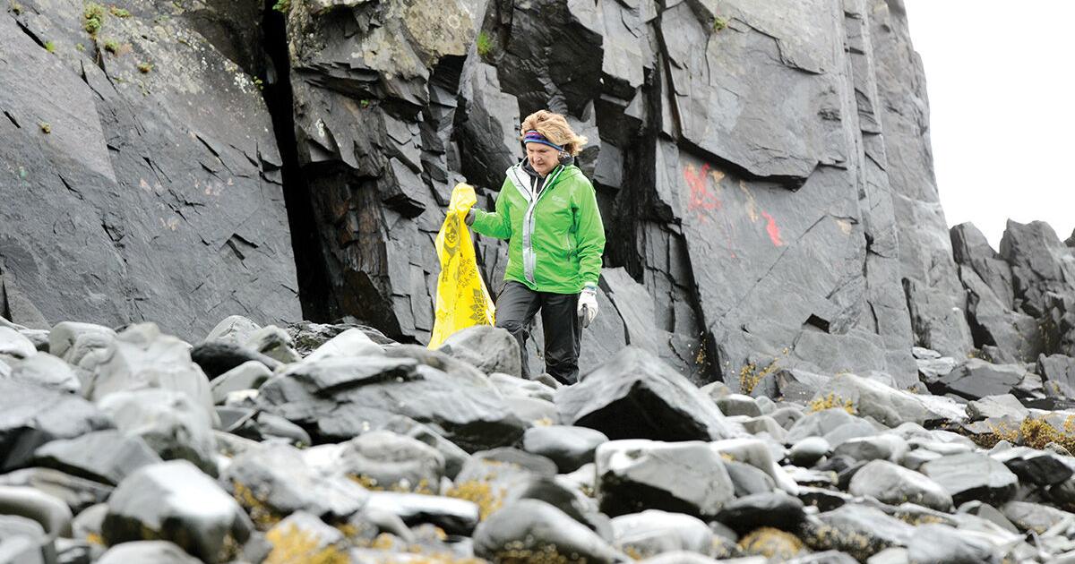 Cleaning beaches, having fun - Vimarsana News