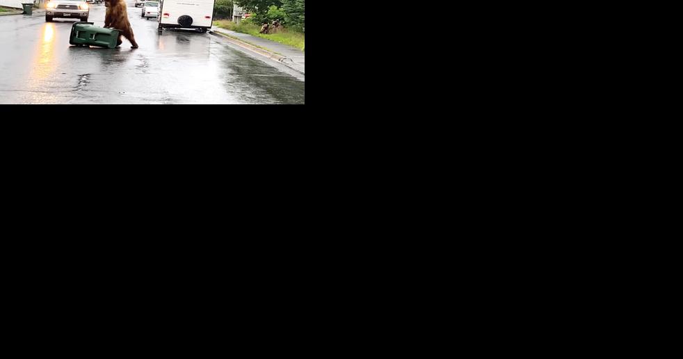 Video of garbage can bear goes viral - Vimarsana News