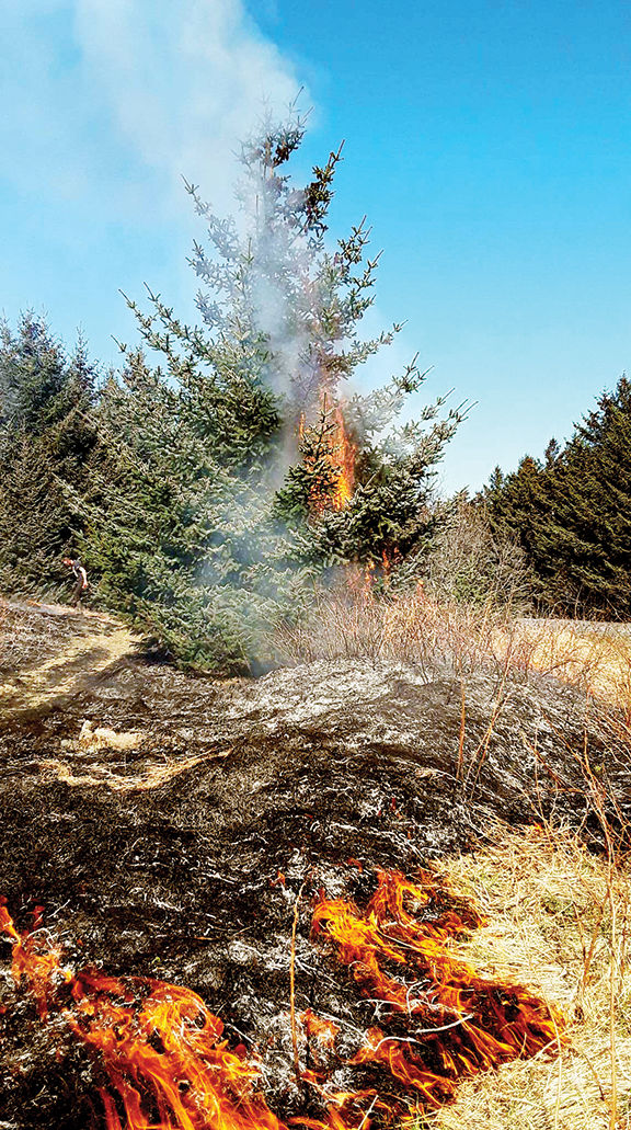 State advises burning debris early in fire season - Vimarsana News