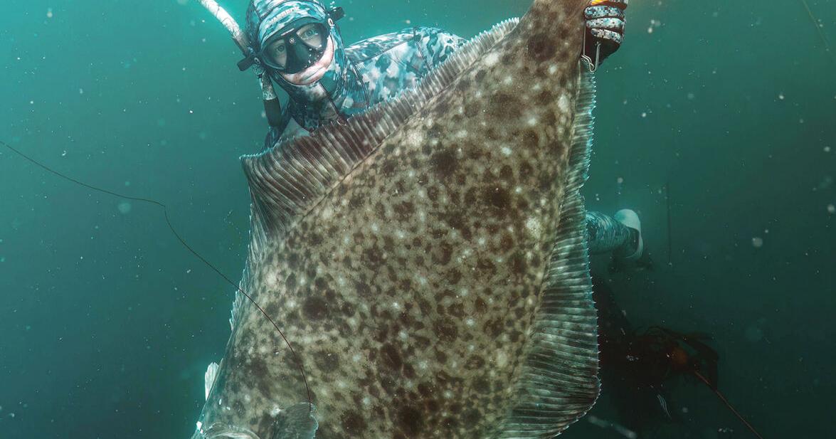 Big halibut gives two Kodiak freedivers all they can handle