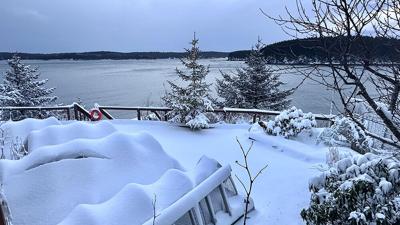 December in the garden: A month for catching our breath | Community ...
