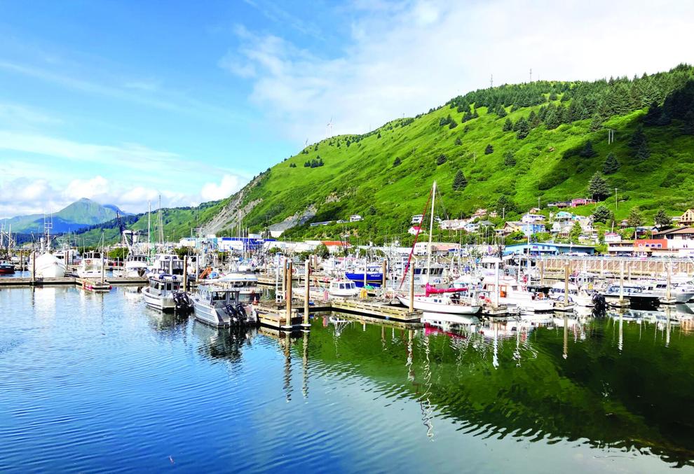 Harbor billing review finds, recommends fixes for errors