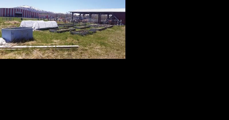 Fairgrounds community gardens to expand with grant money - Vimarsana News