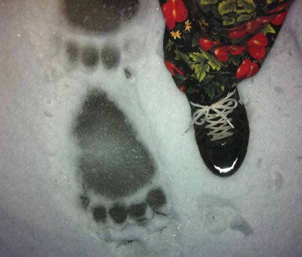 Outdoor Kodiak Transition To Season Of Skis Snowshoes Hank