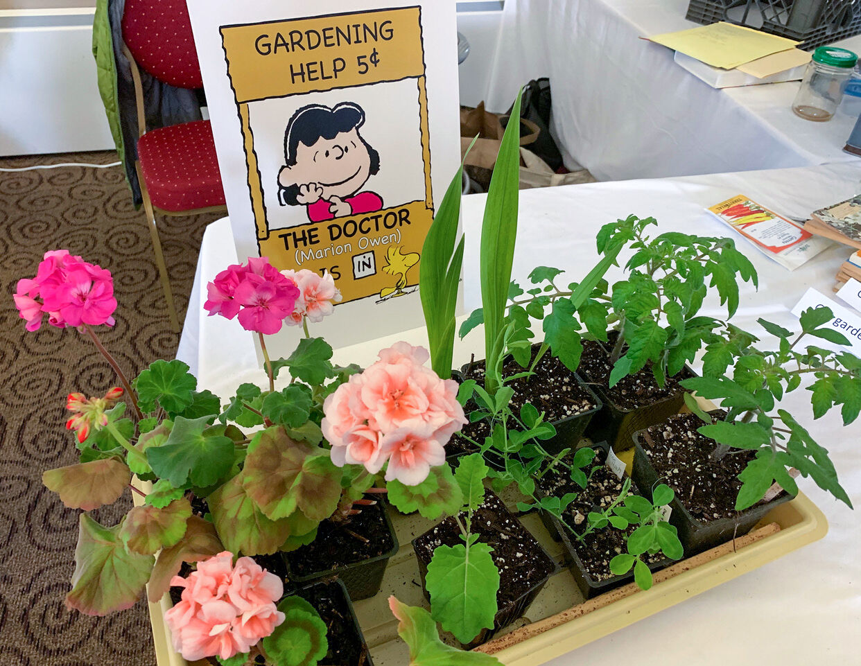 Tips for gardening with a beginner's mind | Community - Vimarsana News