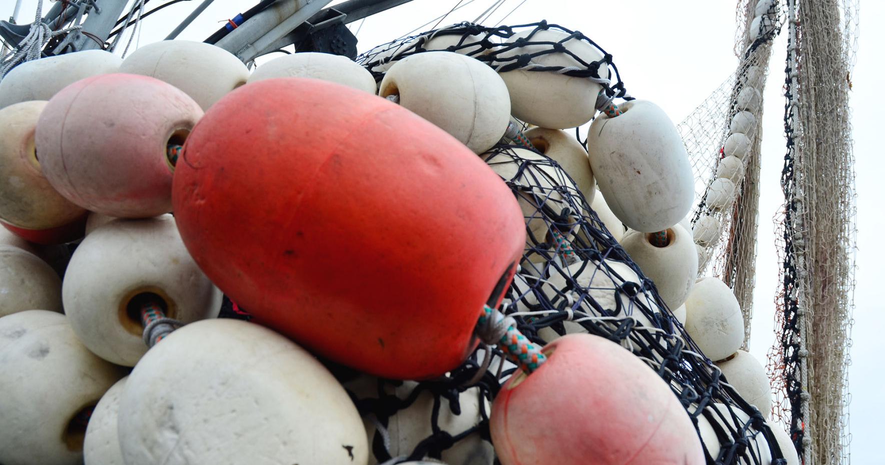 19 people named to salmon research task force - Vimarsana News