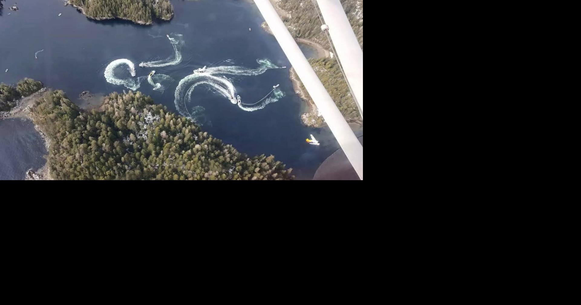 Spotters make herring fishing more efficient ... and exciting