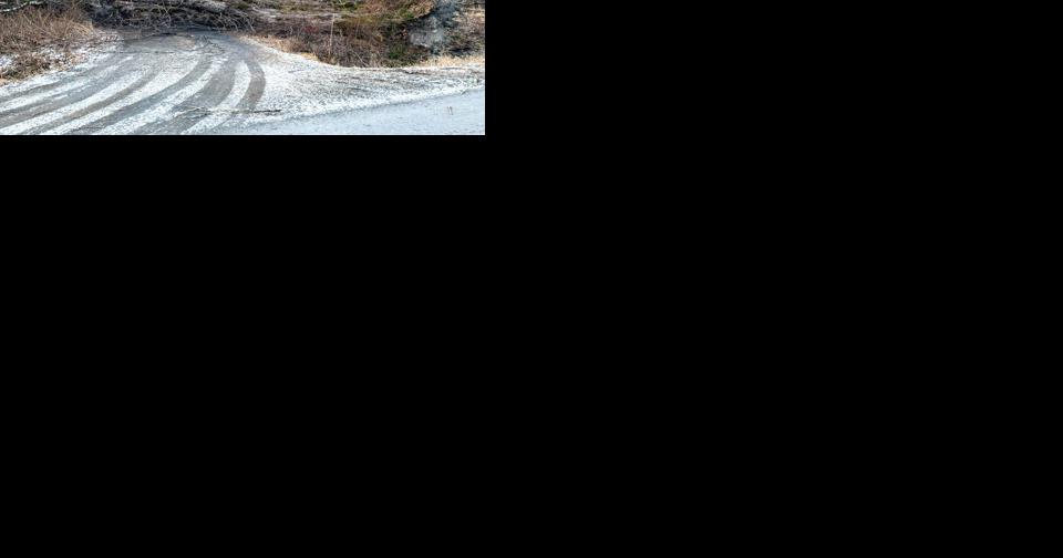 Strong winds fell trees, disrupt transports - Vimarsana News